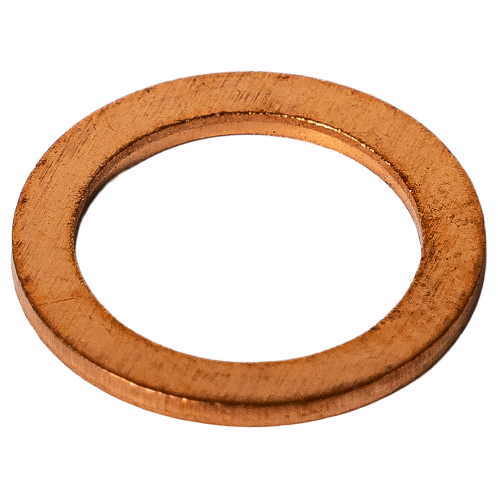 Oil Drain Plug | Crush Washer – T1N / NCV3 / VS30 image 0
